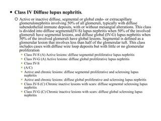  Class IV Diffuse lupus nephritisb
 Active or inactive diffuse, segmental or global endo- or extracapillary
glomerulonephritis involving 50% of all glomeruli, typically with diffuse
subendothelial immune deposits, with or without mesangial alterations. This class
is divided into diffuse segmental(IV-S) lupus nephritis when 50% of the involved
glomeruli have segmental lesions, and diffuse global (IV-G) lupus nephritis when
50% of the involved glomeruli have global lesions. Segmental is defined as a
glomerular lesion that involves less than half of the glomerular tuft. This class
includes cases with diffuse wire loop deposits but with little or no glomerular
proliferation
 Class IV-S (A) Active lesions: diffuse segmental proliferative lupus nephritis
 Class IV-G (A) Active lesions: diffuse global proliferative lupus nephritis
 Class IV-S
 (A/C)
 Active and chronic lesions: diffuse segmental proliferative and sclerosing lupus
nephritis
 Active and chronic lesions: diffuse global proliferative and sclerosing lupus nephritis
 Class IV-S (C) Chronic inactive lesions with scars: diffuse segmental sclerosing lupus
nephritis
 Class IV-G (C) Chronic inactive lesions with scars: diffuse global sclerosing lupus
nephritis
 