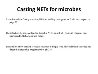 Casting NETs for microbes
Even death doesn’t stop a neutrophil from battling pathogens, as Fuchs et al. report on
page 231.
The infection-fighting cells often launch a NET, a mesh of DNA and enzymes that
snares and kills bacteria and fungi.
The authors show that NET release involves a unique type of cellular self-sacrifice and
depends on reactive oxygen species (ROS).
 