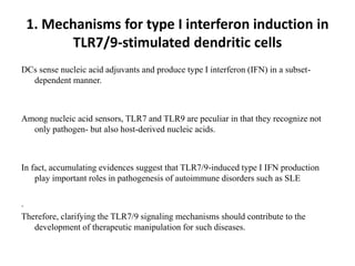 1. Mechanisms for type I interferon induction in
TLR7/9-stimulated dendritic cells
DCs sense nucleic acid adjuvants and produce type I interferon (IFN) in a subset-
dependent manner.
Among nucleic acid sensors, TLR7 and TLR9 are peculiar in that they recognize not
only pathogen- but also host-derived nucleic acids.
In fact, accumulating evidences suggest that TLR7/9-induced type I IFN production
play important roles in pathogenesis of autoimmune disorders such as SLE
.
Therefore, clarifying the TLR7/9 signaling mechanisms should contribute to the
development of therapeutic manipulation for such diseases.
 