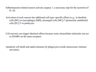 Inflammasome-related sensors activate caspase 1, a necessary step for the secretion of
IL-1β.
Activation of such sensors has additional cell type–specific effects (e.g., in dendritic
cells [DC] or macrophages [MØ], mesangial cells [MC],35 glomerular endothelial
cells [EC],36 or podocytes
Cell necrosis can trigger identical effects because some intracellular molecules can act
as DAMPs on the same receptors
Apoptotic cell death and rapid clearance by phagocytes avoids unnecessary immune
activation.
 