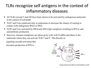 TLRs recognize self antigens in the context of
inflammatory diseases
 All TLRs (except 5 and 10) have been shown to be activated by endogenous molecules
in the context of cell death
 TLR7 and 9 are expressed only in endosomes to decrease the chance of coming in
contact with endogenous RNA or DNA
 TLR7 and 9 are activated by DNA/anti-DNA IgG complexes resulting in IFN-a and
autoantibody production.
 However, immune complexes are taken up by cells with FcgRIIa and taken to the
endosome where they can activate TLR 7 and 9. This Results in
signaling cascade activation that
increases production of IFN-a.
Image taken from Barrat and Coffman 2008
 