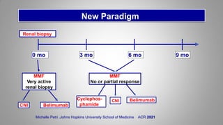 New Paradigm
0 mo 3 mo 6 mo 9 mo
MMF
Very active
renal biopsy
Renal biopsy
MMF
No or partial response
CNI
Cyclophos-
phamide
Belimumab
Belimumab
CNI
Michelle Petri .Johns Hopkins University School of Medicine ACR 2021
 