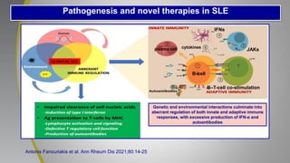 Pathogenesis and novel therapies in SLE
Antonis Fanouriakis et al. Ann Rheum Dis 2021;80:14-25
Genetic and environmental interactions culminate into
aberrant regulation of both innate and adaptive immune
responses, with excessive production of IFN-α and
autoantibodies
B-cell
plasma cell
B–T-cell co-stimulation
IFNs
JAKs
cytokines
 