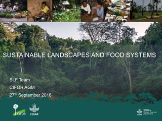 SLF Team
CIFOR AGM
27th September 2016
SUSTAINABLE LANDSCAPES AND FOOD SYSTEMS
 