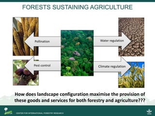 Sustainable landscapes and food systems