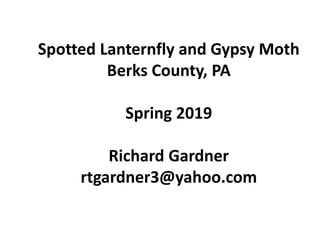 Spotted Lanternfly and Gypsy Moth
Berks County, PA
Spring 2019
Richard Gardner
rtgardner3@yahoo.com
 
