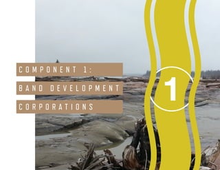 ENVIRONMENTAL SCAN Smith’s Landing First Nation 31
1
C O M P O N E N T 1 :
B A N D D E V E L O P M E N T
C O R P O R A T I O N S
 