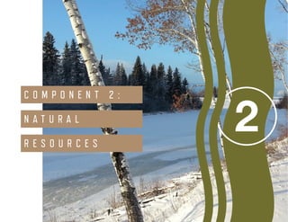 Smith’s Landing First Nation ENVIRONMENTAL SCAN36
2
C O M P O N E N T 2 :
N A T U R A L
R E S O U R C E S
 