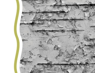 ENVIRONMENTAL SCAN Smith’s Landing First Nation 99
 