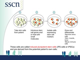 Induced Pluripotent Stem
                                 Cells (iPS) Cells)
           1                  2                    3                  4




    Take skin cells    Introduce stem     Isolate cells       Grow and
    from patient       cell genes and/    expressing          differentiate
                       or treat with      stem cell           •Neurons nerve
                       small              markers             cells
                                                              •Skin, muscle,
                       molecules
                                                              bone
                                                              •Blood, immune
                                                              cells

These cells are called induced pluripotent stem cells (iPS cells or iPSCs)
and are derived from the potential patient’s own cells.
 