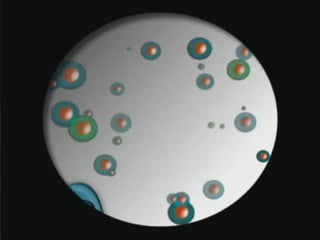 Lets talk Stem Cells
 