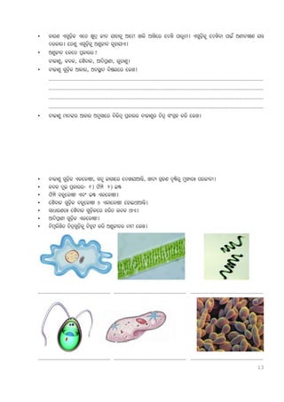 HOME SCIENCE ODIA BOOK PDF 3 FREE DOWNLOAD visual data 3