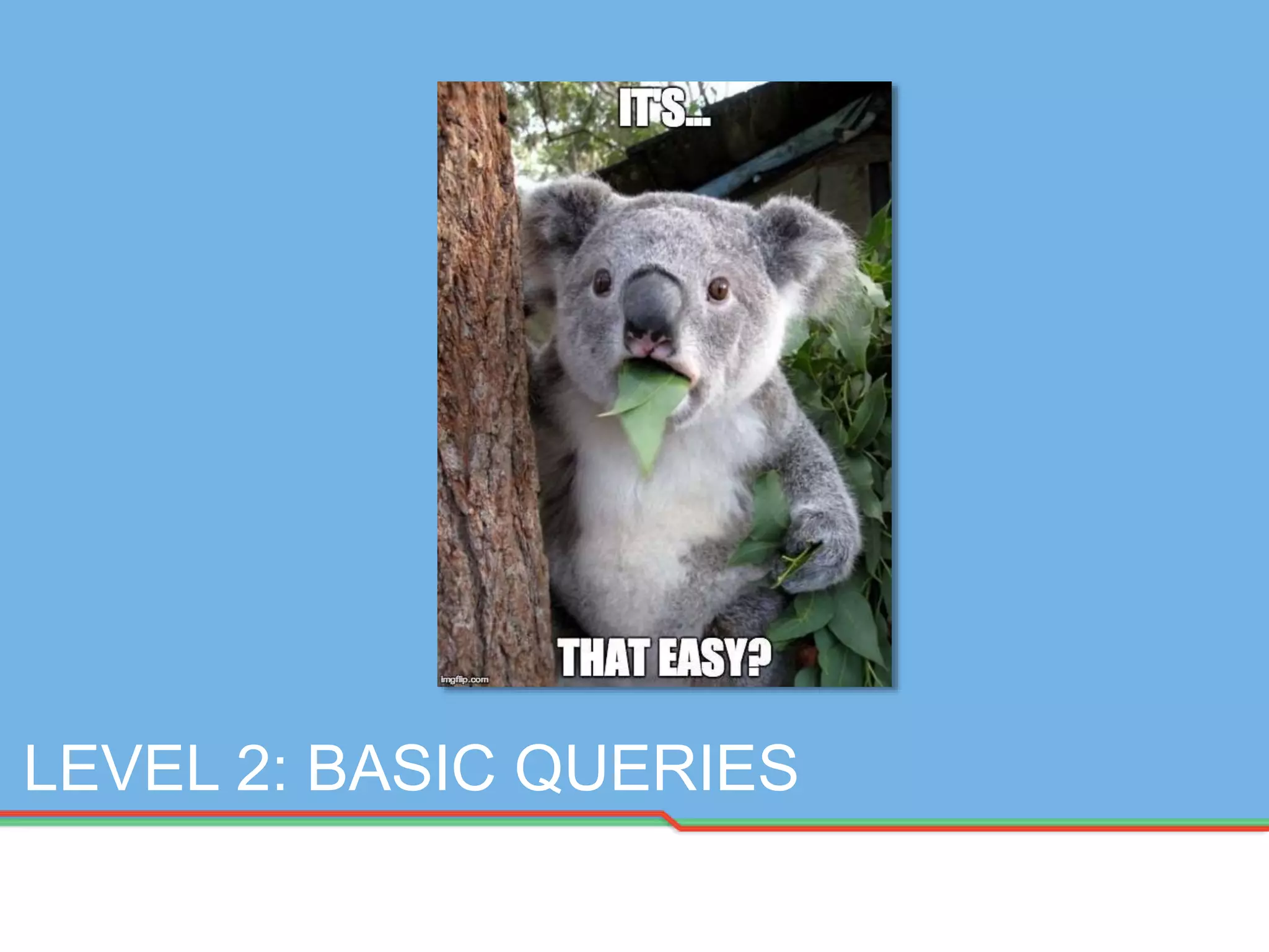 LEVEL 2: BASIC QUERIES
 