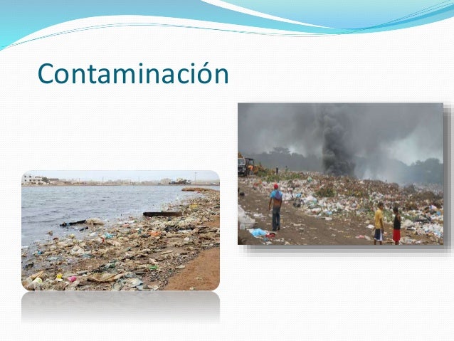 CONTAMINACIÓN AMBIENTAL, CAUSAS Y CONSECUENCIAS.