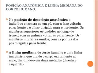 Aula anatomia, fisiologia, divisão básica e avançada do corpo humano | PPTX