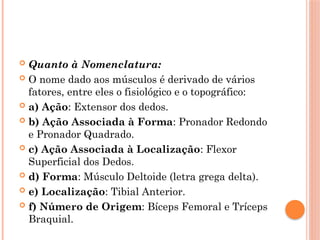  Quanto à Nomenclatura:
 O nome dado aos músculos é derivado de vários
fatores, entre eles o fisiológico e o topográfico:
 a) Ação: Extensor dos dedos.
 b) Ação Associada à Forma: Pronador Redondo
e Pronador Quadrado.
 c) Ação Associada à Localização: Flexor
Superficial dos Dedos.
 d) Forma: Músculo Deltoide (letra grega delta).
 e) Localização: Tibial Anterior.
 f) Número de Origem: Bíceps Femoral e Tríceps
Braquial.
 