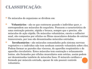 CLASSIFICAÇÃO:
 Os músculos do organismo se dividem em:
 Voluntários - são os que contraem quando o indivíduo quer, e
correspondem aos músculos do esqueleto. Possuem a característica de
uma contração potente, rápida e brusca, sempre que e preciso. são
músculos de ação rápida. Os músculos voluntários, exceto o esfíncter
anal, são compostos por células ou fibras musculares dotadas de estrias
transversais, por isso são denominados músculos estriados.
 Involuntários - são músculos comandados pelo sistema nervoso
vegetativo e o individuo não tem nenhum controle voluntário sobre eles.
Podem formar as paredes das vísceras, do aparelho respiratório e do
aparelho circulatório. Estes músculos tem contração e relaxamento
lentos. são formados por células musculares sem estrias, assim podem
ser denominados também de músculos lisos. O músculo cardíaco e
formado por músculo estriado, apesar de não possuir controle
voluntário.
 