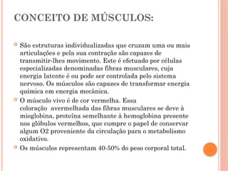 CONCEITO DE MÚSCULOS:
 São estruturas individualizadas que cruzam uma ou mais
articulações e pela sua contração são capazes de
transmitir-lhes movimento. Este é efetuado por células
especializadas denominadas fibras musculares, cuja
energia latente é ou pode ser controlada pelo sistema
nervoso. Os músculos são capazes de transformar energia
química em energia mecânica.
 O músculo vivo é de cor vermelha. Essa
coloração avermelhada das fibras musculares se deve à
mioglobina, proteína semelhante à hemoglobina presente
nos glóbulos vermelhos, que cumpre o papel de conservar
algum O2 proveniente da circulação para o metabolismo
oxidativo.
 Os músculos representam 40-50% do peso corporal total.
 