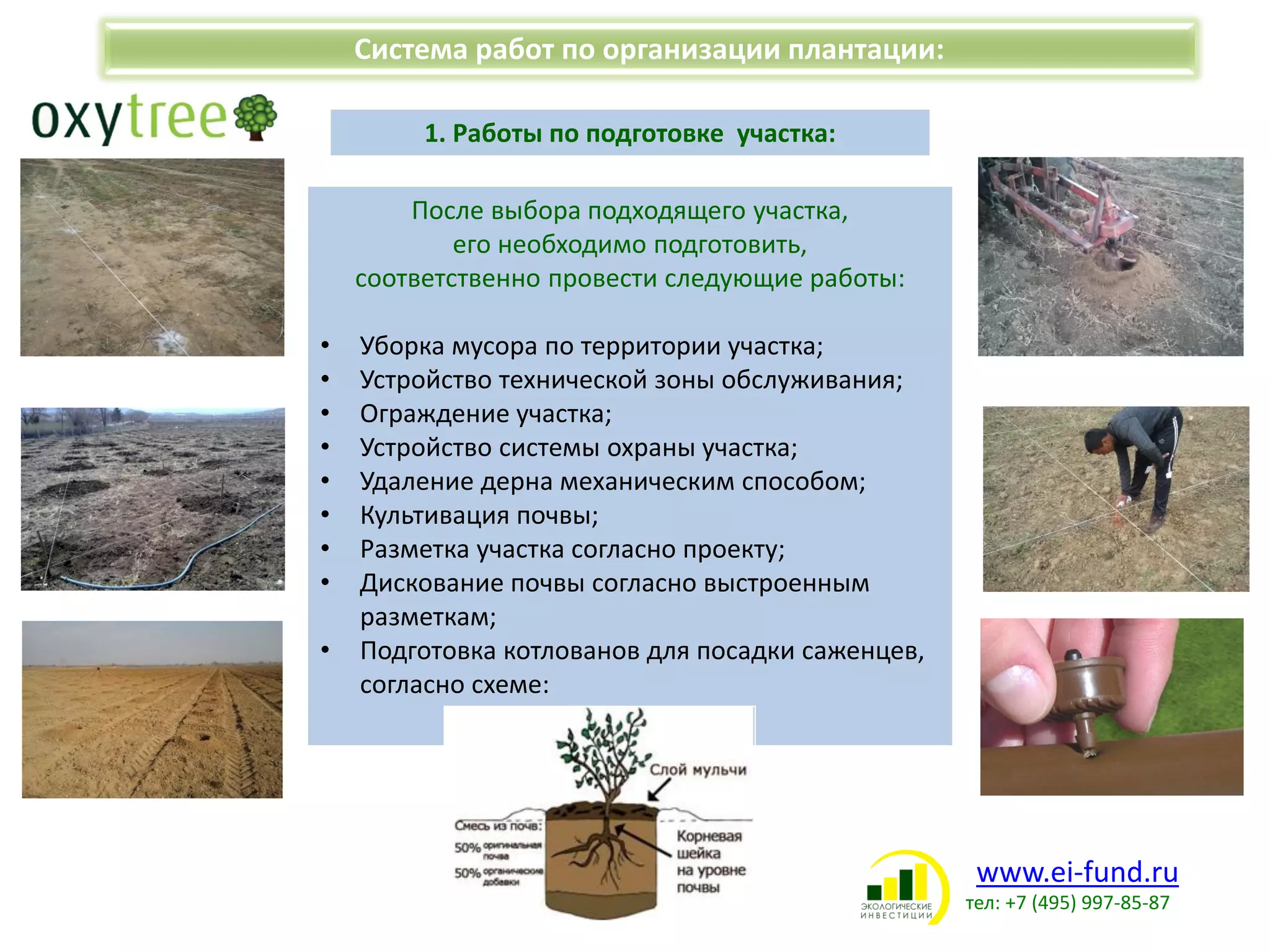www.ei-fund.ru
тел: +7 (495) 997-85-87
Система работ по организации плантации:
1. Работы по подготовке участка:
После выбора подходящего участка,
его необходимо подготовить,
соответственно провести следующие работы:
• Уборка мусора по территории участка;
• Устройство технической зоны обслуживания;
• Ограждение участка;
• Устройство системы охраны участка;
• Удаление дерна механическим способом;
• Культивация почвы;
• Разметка участка согласно проекту;
• Дискование почвы согласно выстроенным
разметкам;
• Подготовка котлованов для посадки саженцев,
согласно схеме:
 