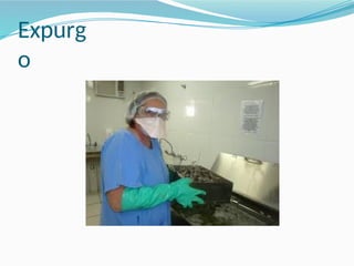 Expurg
o
 