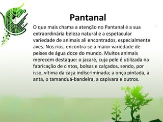 Pantanal O que mais chama a atenção no Pantanal é a sua extraordinária beleza natural e a espetacular variedade de animais ali encontrados, especialmente aves. Nos rios, encontra-se a maior variedade de peixes de água doce do mundo. Muitos animais merecem destaque: o jacaré, cuja pele é utilizada na fabricação de cintos, bolsas e calçados, sendo, por isso, vítima da caça indiscriminada; a onça pintada, a anta, o tamanduá-bandeira, a capivara e outros. 