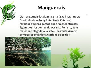 Manguezais Os manguezais localizam-se na faixa litorânea do Brasil, desde o Amapá até Santa Catarina, formando-se nos pontos onde há encontro das águas dos rios com as do oceano. Por isso, suas terras são alagadas e o solo é bastante rico em compostos orgânicos, trazidos pelos rios. 