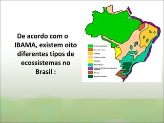 De acordo com o IBAMA, existem oito diferentes tipos de ecossistemas no Brasil : 