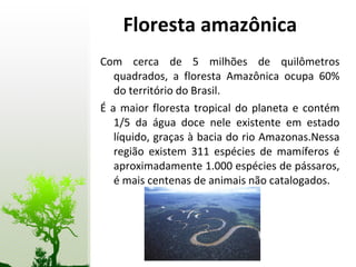 Floresta amazônica Com cerca de 5 milhões de quilômetros quadrados, a floresta Amazônica ocupa 60% do território do Brasil. É a maior floresta tropical do planeta e contém 1/5 da água doce nele existente em estado líquido, graças à bacia do rio Amazonas.Nessa região existem 311 espécies de mamíferos é aproximadamente 1.000 espécies de pássaros, é mais centenas de animais não catalogados. 