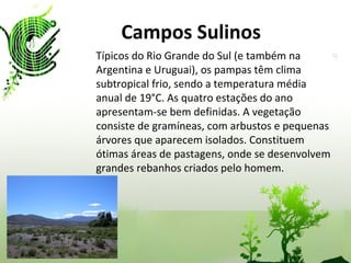 Campos Sulinos   Típicos do Rio Grande do Sul (e também na Argentina e Uruguai), os pampas têm clima subtropical frio, sendo a temperatura média anual de 19°C. As quatro estações do ano apresentam-se bem definidas. A vegetação consiste de gramíneas, com arbustos e pequenas árvores que aparecem isolados. Constituem ótimas áreas de pastagens, onde se desenvolvem grandes rebanhos criados pelo homem. 