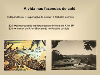 A vida nas fazendas de café Independência    exportação de açúcar    trabalho escravo  1820   café produzido em larga escala    litoral do RJ e SP 1830    interior do RJ e SP (vale do rio Paraíba do Sul)  