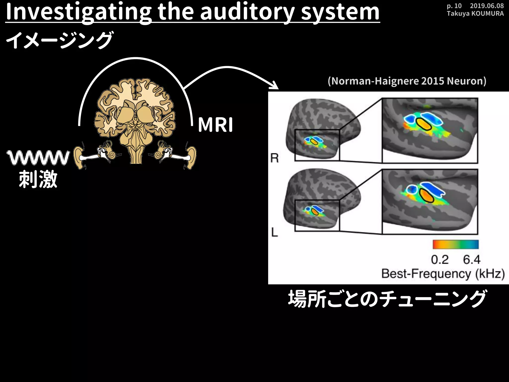 2019.06.08
Takuya KOUMURA
p. 10
Investigating the auditory system
イメージング
刺激
MRI
(Norman-Haignere 2015 Neuron)
場所ごとのチューニング
 