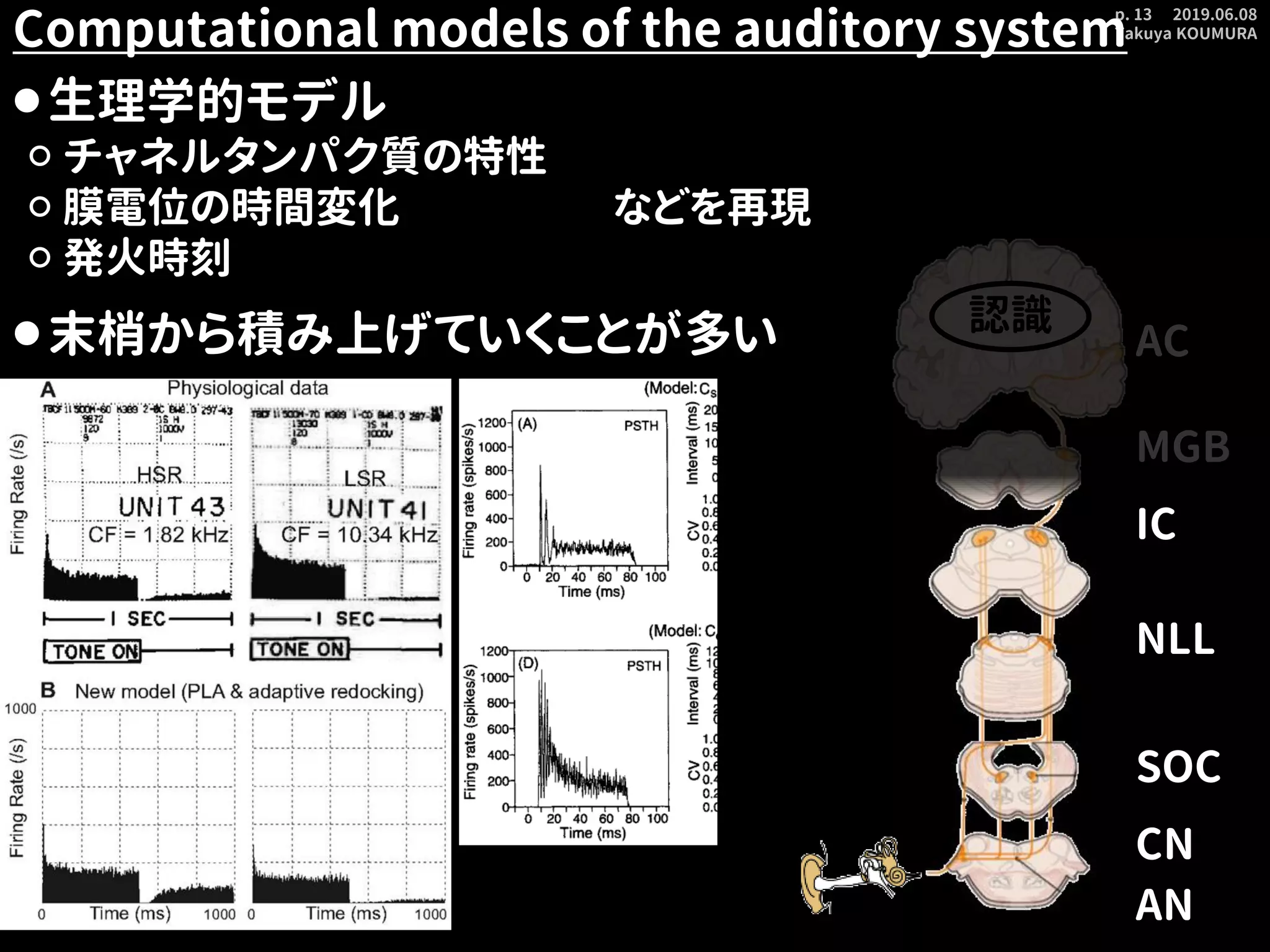 2019.06.08
Takuya KOUMURA
p. 13
Computational models of the auditory system
⚫生理学的モデル
⚪ チャネルタンパク質の特性
⚪ 膜電位の時間変化 などを再現
⚪ 発火時刻
⚫末梢から積み上げていくことが多い
AN
SOC
CN
NLL
IC
MGB
AC
認識
 