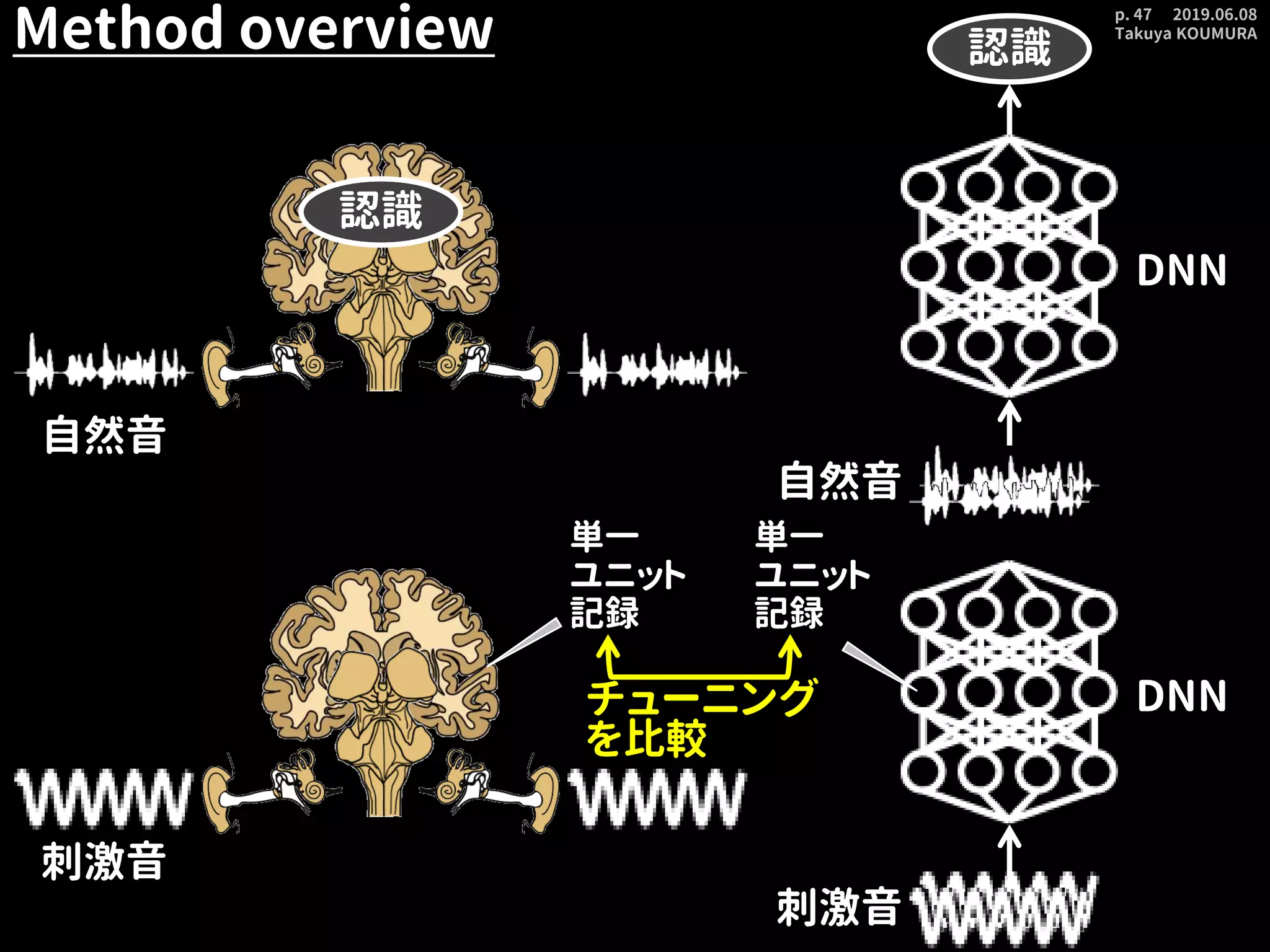 2019.06.08
Takuya KOUMURA
p. 47
Method overview
自然音
認識
認識
自然音
DNN
刺激音
刺激音
単一
ユニット
記録
単一
ユニット
記録
チューニング
を比較
DNN
 