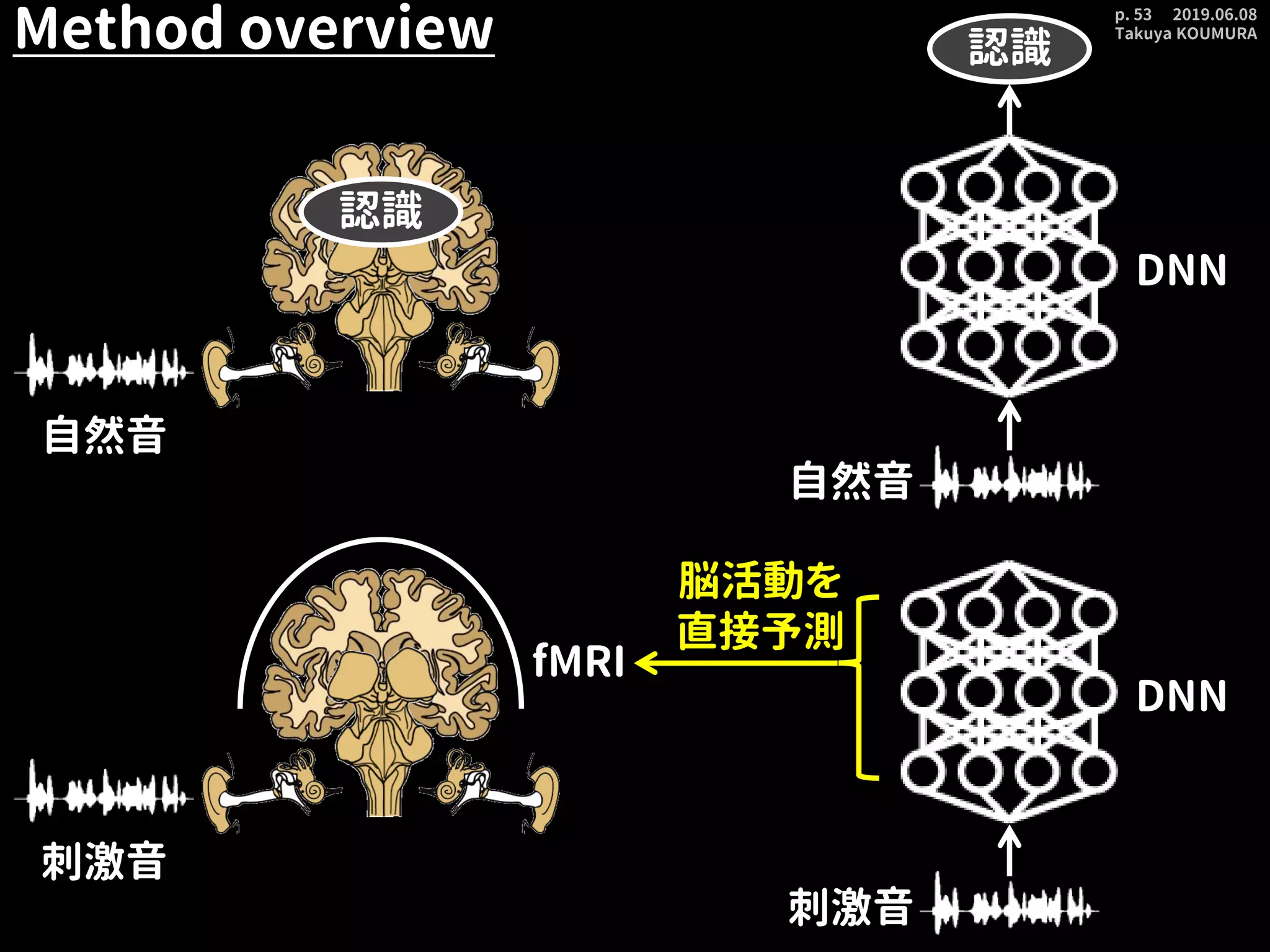 2019.06.08
Takuya KOUMURA
p. 53
Method overview
自然音
認識
認識
自然音
DNN
DNN
刺激音
刺激音
fMRI
脳活動を
直接予測
 