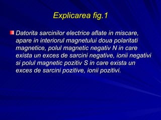 Explicarea fig.1 Datorita sarcinilor electrice aflate in miscare, apare in interiorul magnetului doua polaritati magnetice, polul magnetic negativ N in care exista un exces de sarcini negative, ionii negativi si polul magnetic pozitiv S in care exista un exces de sarcini pozitive, ionii pozitivi. 