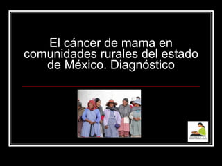 El cáncer de mama en comunidades rurales del estado de México. Diagnóstico 