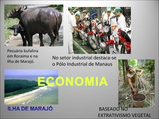 Pecuária bufalina
em Roraima e na     No setor industrial destaca-se
Ilha de Marajó.
                    o Pólo Industrial de Manaus,




                                         BASEADO NO
                                         EXTRATIVISMO VEGETAL
 