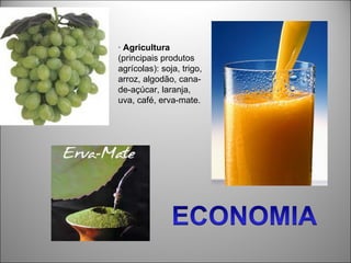· Agricultura
(principais produtos
agrícolas): soja, trigo,
arroz, algodão, cana-
de-açúcar, laranja,
uva, café, erva-mate.
 