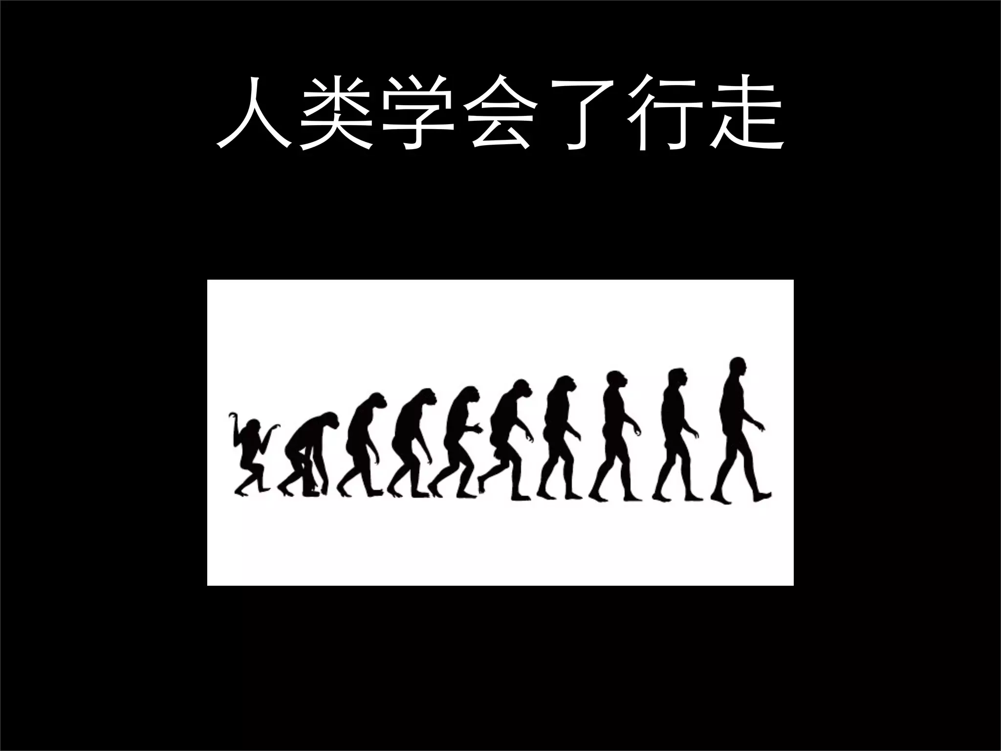 人类学会了行走
 