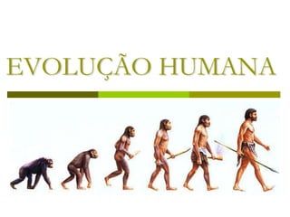 EVOLUÇÃO HUMANA
 
