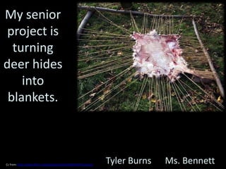 My senior
 project is
  turning
deer hides
    into
 blankets.



Cc from: http://www.flickr.com/photos/ssstok/5202672657/sizes/z/
                                                                   Tyler Burns   Ms. Bennett
 