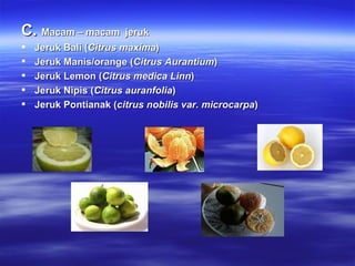 C.  Macam – macam  jeruk Jeruk Bali ( Citrus maxima ) Jeruk Manis/orange ( Citrus Aurantium ) Jeruk Lemon ( Citrus medica Linn ) Jeruk Nipis ( Citrus auranfolia ) Jeruk Pontianak ( citrus nobilis var. microcarpa )   