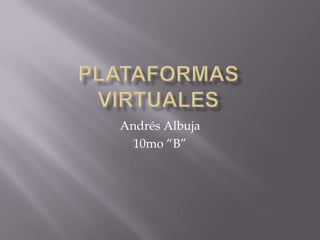 Andrés Albuja
  10mo “B”
 