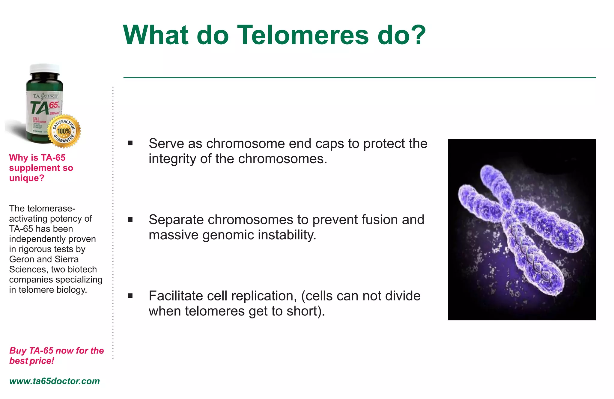 What do Telomeres do?
Why is TA-65
supplement so
unique?
The telomerase-
activating potency of
TA-65 has been
independently proven
in rigorous tests by
Geron and Sierra
Sciences, two biotech
companies specializing
in telomere biology.
Buy TA-65 now for the
best price!
www.ta65doctor.com
Serve as chromosome end caps to protect the
integrity of the chromosomes.
Separate chromosomes to prevent fusion and
massive genomic instability.
Facilitate cell replication, (cells can not divide
when telomeres get to short).
 