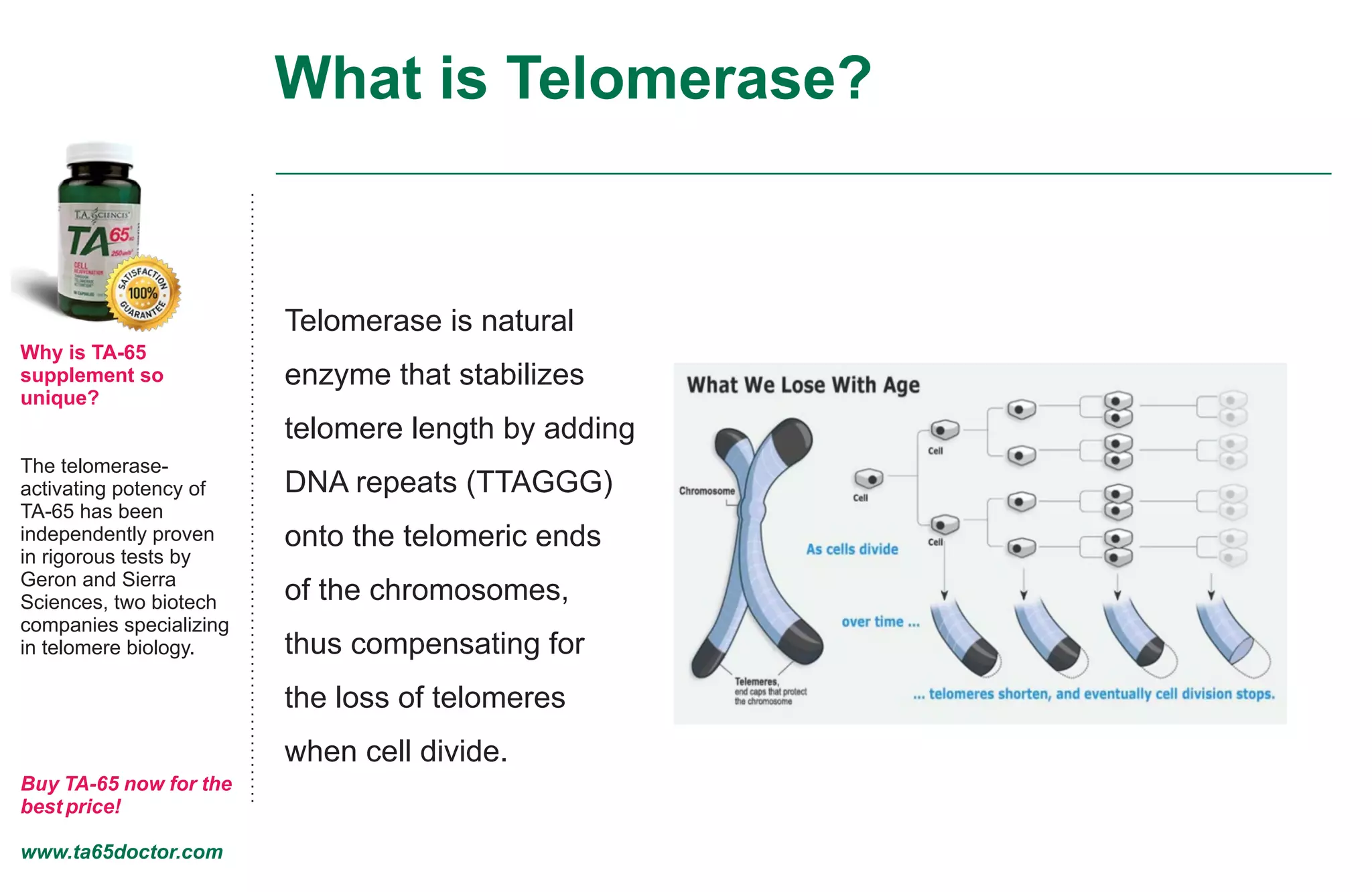 What is Telomerase?
Why is TA-65
supplement so
unique?
The telomerase-
activating potency of
TA-65 has been
independently proven
in rigorous tests by
Geron and Sierra
Sciences, two biotech
companies specializing
in telomere biology.
Buy TA-65 now for the
best price!
www.ta65doctor.com
Telomerase is natural
enzyme that stabilizes
telomere length by adding
DNA repeats (TTAGGG)
onto the telomeric ends
of the chromosomes,
thus compensating for
the loss of telomeres
when cell divide.
 