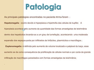 As principais patologias encontradas no paciente P.F.F.A foram :
Hepatomegalia : ocorre devido à hiperplasia e hipertrofia das células de kupfler. A
hiperplasia acontece pelo aumento da quantidade das formas amastigotas de leishmânia
dentro dos hepatócitos levando-os a um grau de tumefação, acontecendo uma moderada
expansão dos espaços-porta por infiltrados de linfócitos, plasmócitos e macrófagos ;
Esplenomegalia: é definida pelo aumento de volume localizado e palpável do baço, esse
aumento se da como consequência da proliferação de células normais e por conta da grande
infiltração de macrófagos parasitados com formas amastigotas da leishmânia;
.
Patologia
 