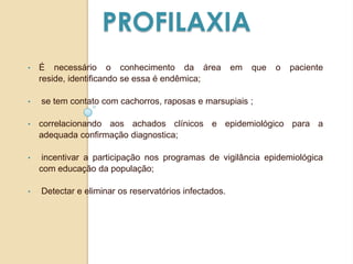 PROFILAXIA
• É necessário o conhecimento da área em que o paciente
reside, identificando se essa é endêmica;
• se tem contato com cachorros, raposas e marsupiais ;
• correlacionando aos achados clínicos e epidemiológico para a
adequada confirmação diagnostica;
• incentivar a participação nos programas de vigilância epidemiológica
com educação da população;
• Detectar e eliminar os reservatórios infectados.
 