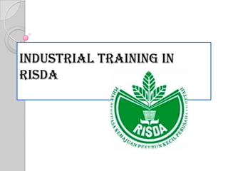 Industrial training in
Risda
 