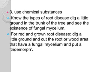  3. use chemical substances
 Know the types of root disease dig a little
ground in the trunk of the tree and see the
existence of fungal mycelium.
 For red and grown root disease: dig a
little ground and cut the root or wood area
that have a fungal mycelium and put a
‘tridemorph’.
 