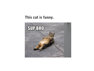 This cat is funny.

 